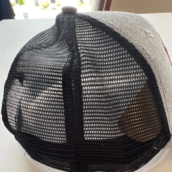 NWOT LG SEEDS Hat Cap Snap Back Adjustable Gray‎ Brown Pre Owned HT 78+116 (A1) - Picture 2 of 6